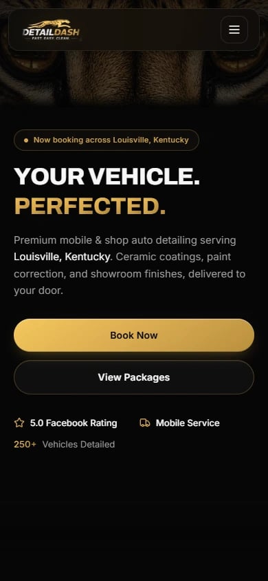 Detail Dash — actual mobile website